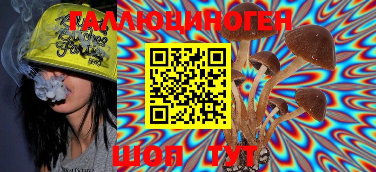 Надым  Псилоцибиновые грибы Cubensis  как найти закладки  Вход с VPN 