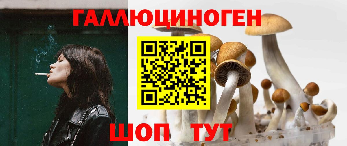 Галлюциногенные грибы прущие грибы Надым